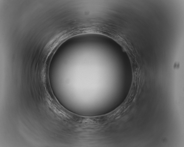X0000115640290200911101522