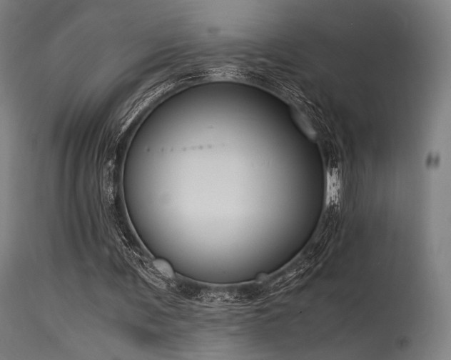 X0000115640291200911101522