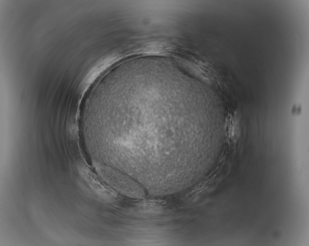 X0000115640292200911101522