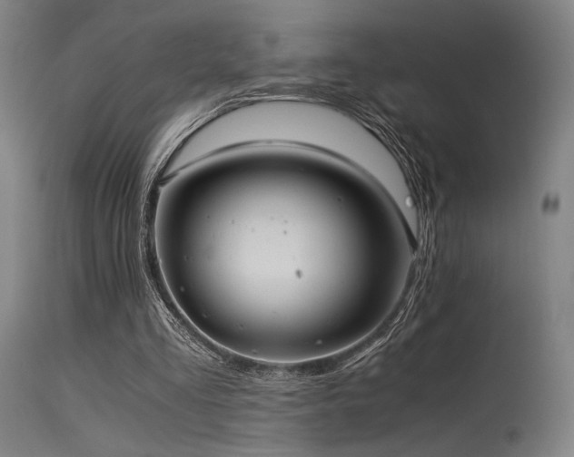 X0000115640293200911101522