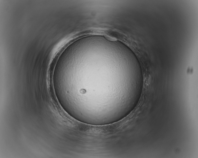 X0000115640294200911101522