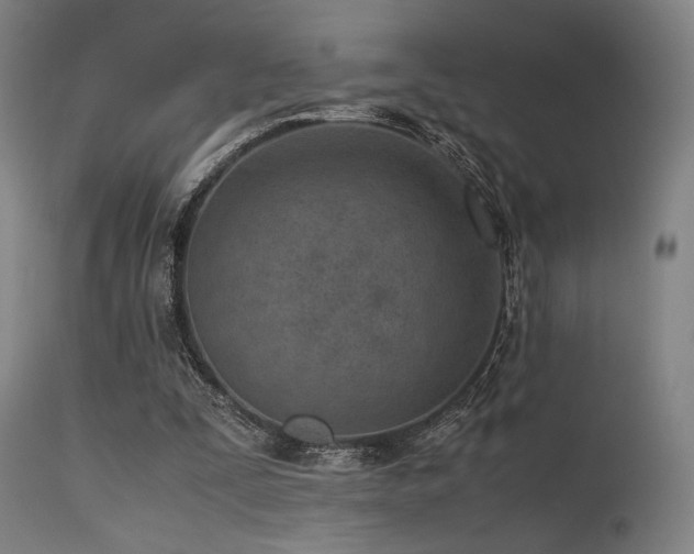 X0000115640295200911101522
