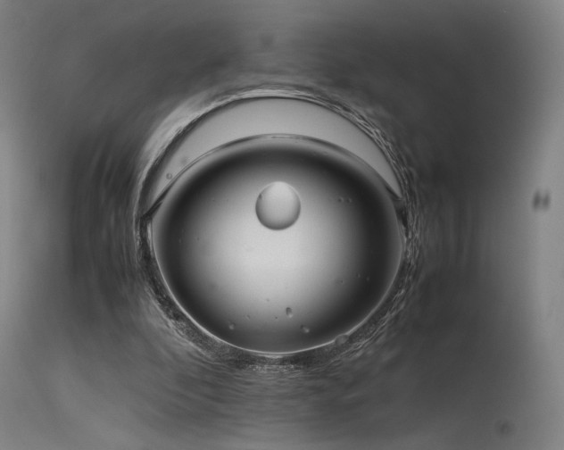 X0000115640296200911101522