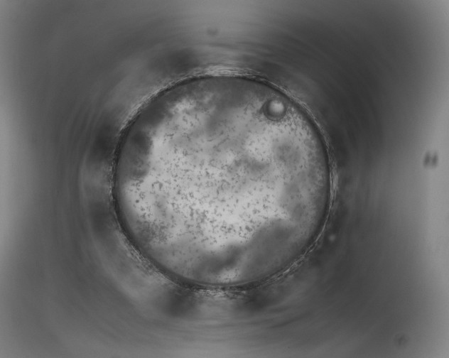 X0000115640297200911101522