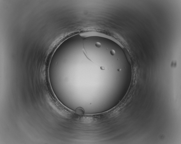 X0000115640298200911101522