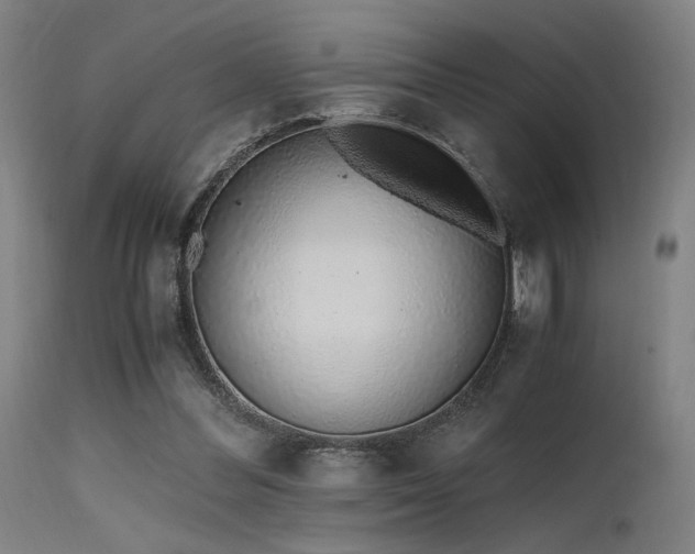 X0000115640300200911101522