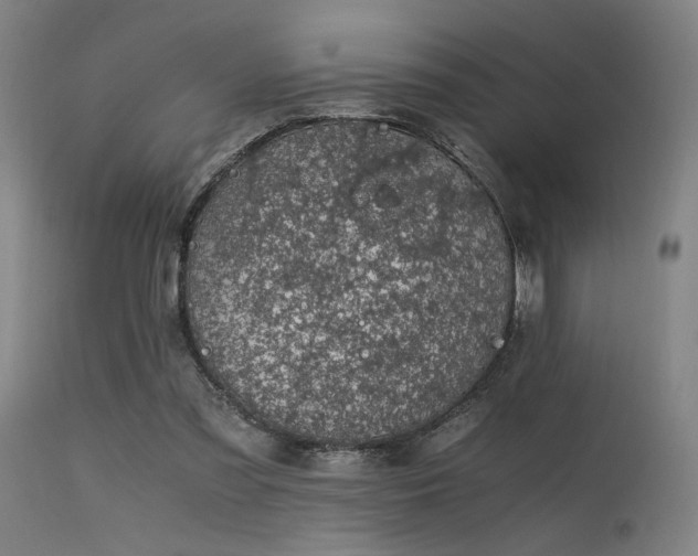 X0000115640301200911101522