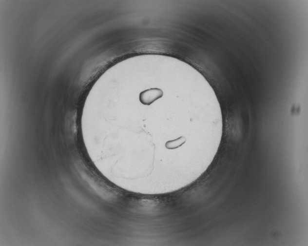 X0000115640302200911101522