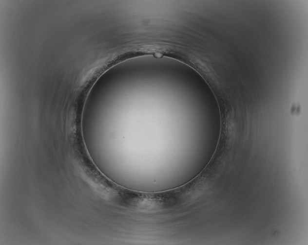 X0000115640303200911101522