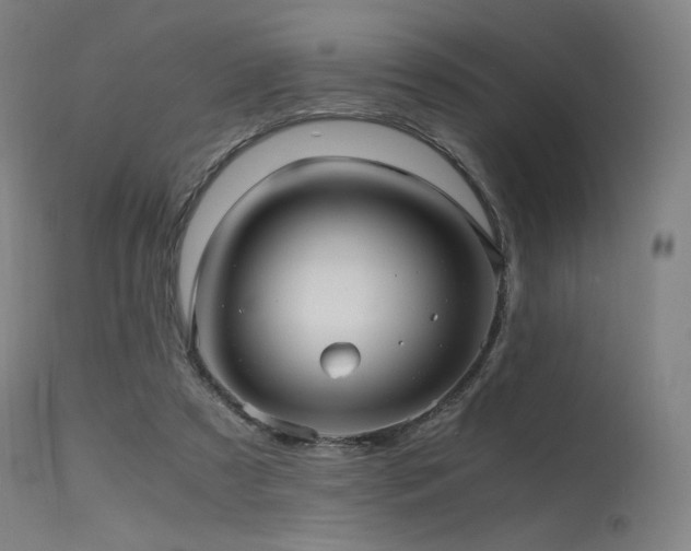 X0000115640305200911101522