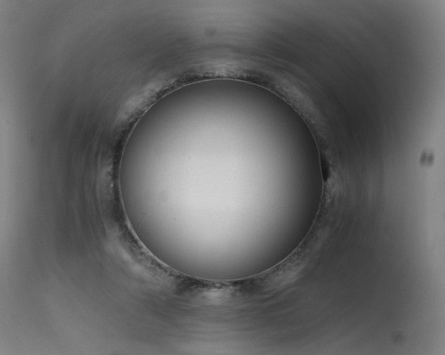 X0000115640306200911101522
