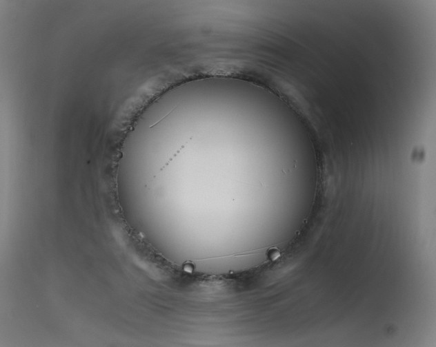 X0000115640307200911101522