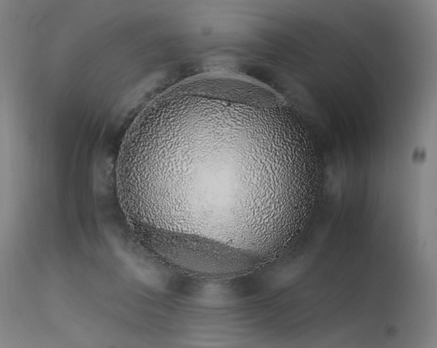 X0000115640308200911101522