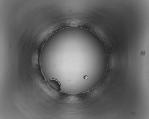 X0000115640310200911101522