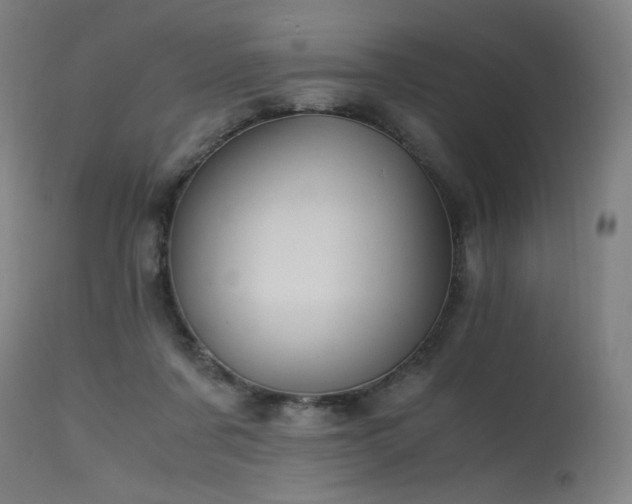 X0000115640311200911101522