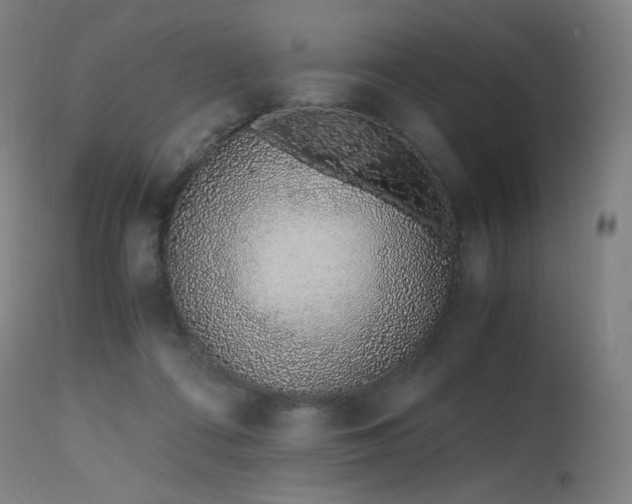 X0000115640312200911101522