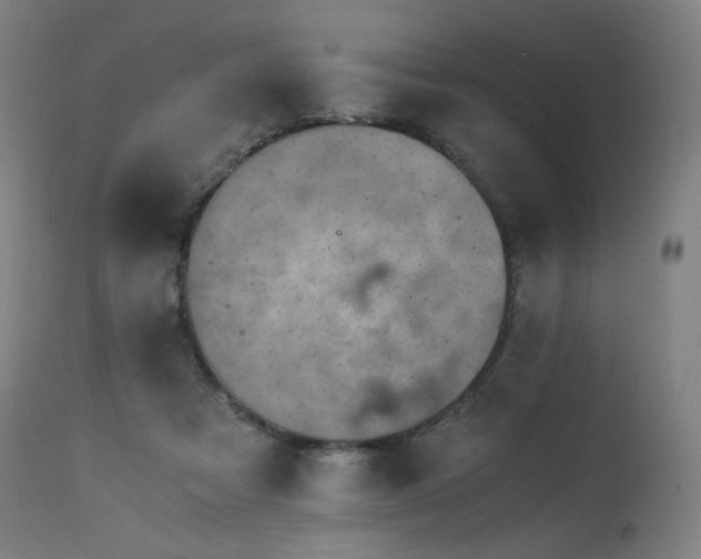 X0000115640313200911101522