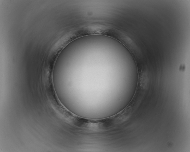 X0000115640314200911101522