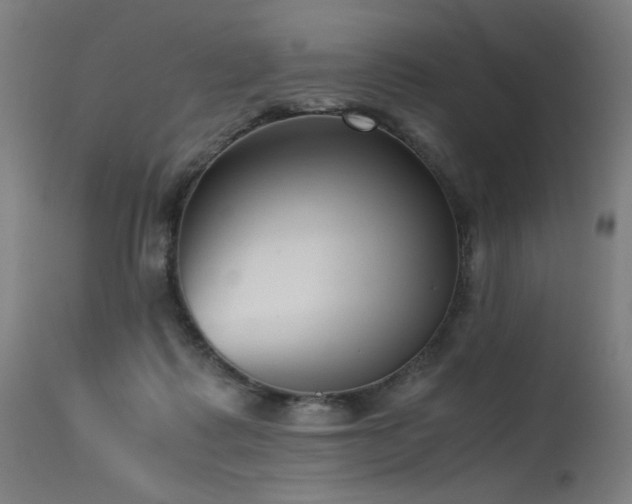 X0000115640315200911101522