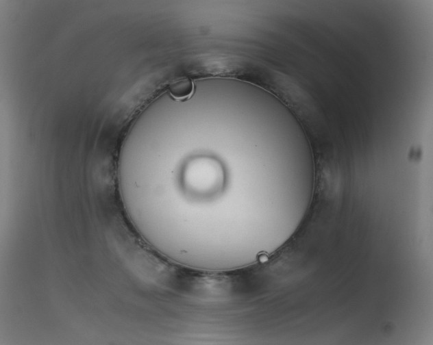X0000115640317200911101522