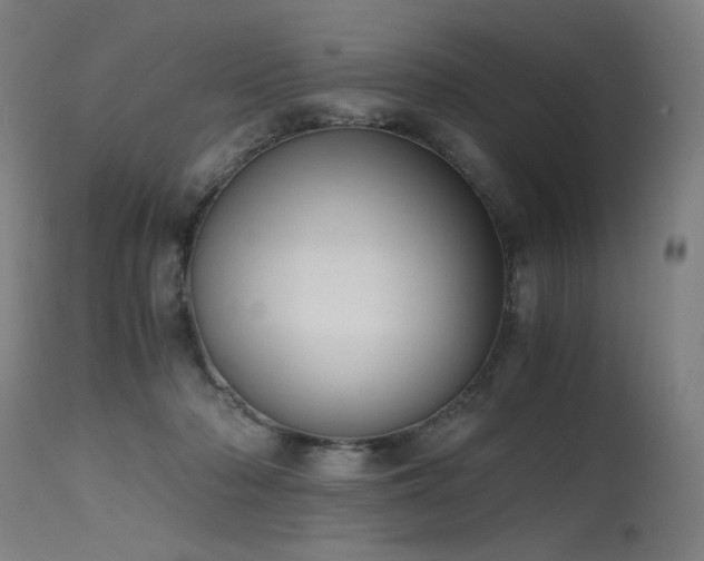X0000115640318200911101522