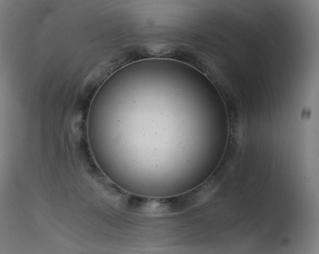 X0000115640319200911101522