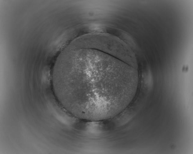 X0000115640320200911101522