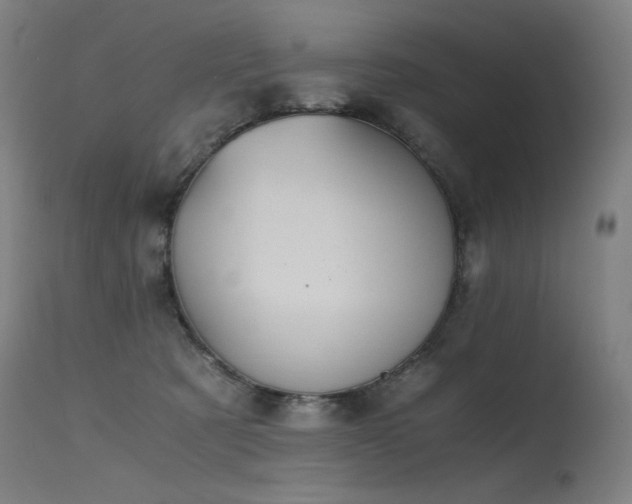 X0000115640321200911101522