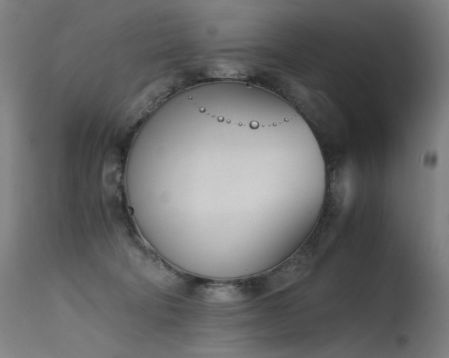 X0000115640322200911101522