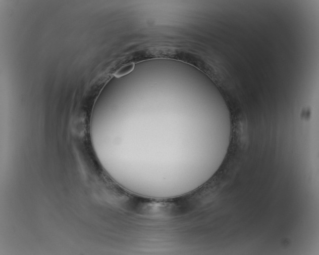 X0000115640323200911101522