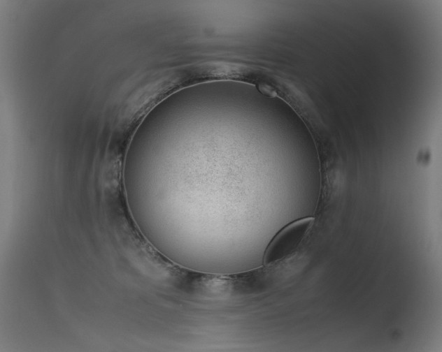 X0000115640325200911101522