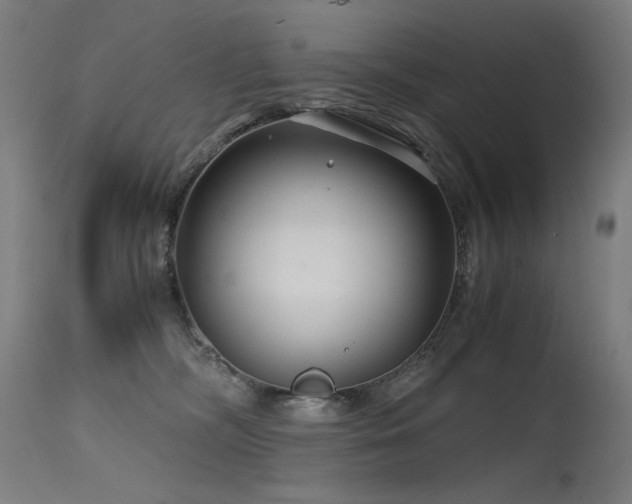 X0000115640326200911101522