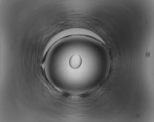 X0000115640327200911101522