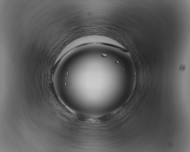 X0000115640328200911101522