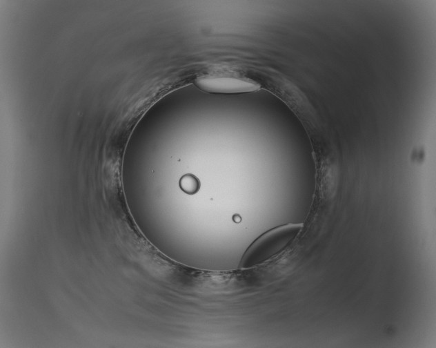 X0000115640329200911101522