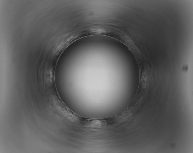 X0000115640330200911101522
