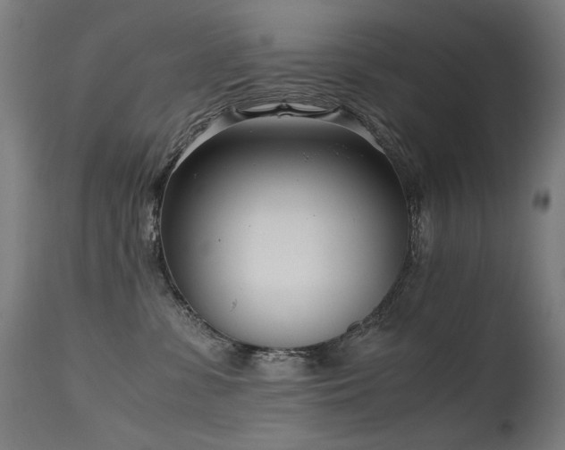 X0000115640331200911101522
