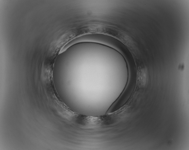 X0000115640333200911101522