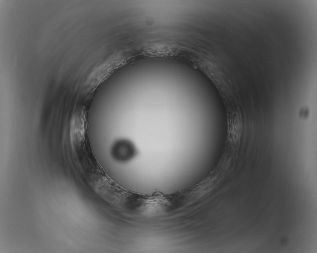 X0000115640334200911101522