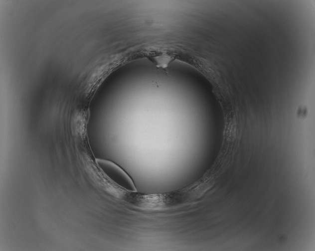 X0000115640335200911101522