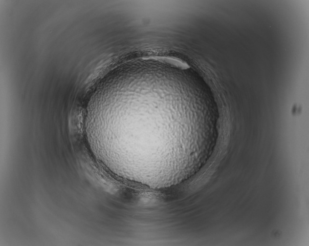 X0000115640336200911101522