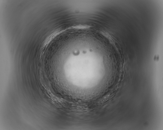 X0000115640337200911101521