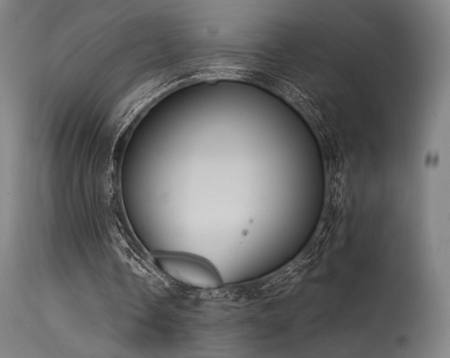 X0000115640338200911101521