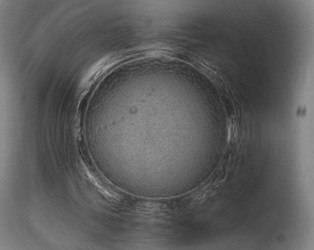 X0000115640339200911101521