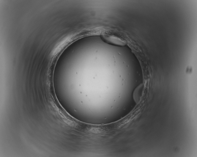 X0000115640341200911101521