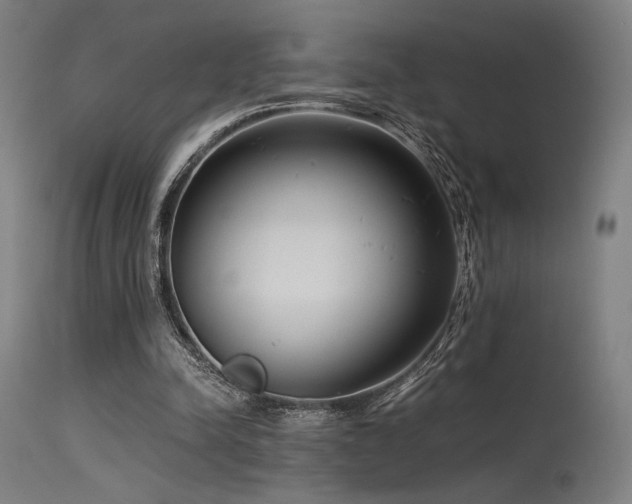 X0000115640342200911101521