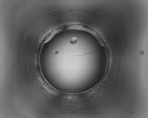 X0000115640345200911101521