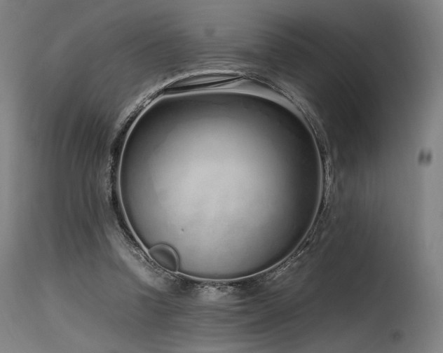X0000115640346200911101521