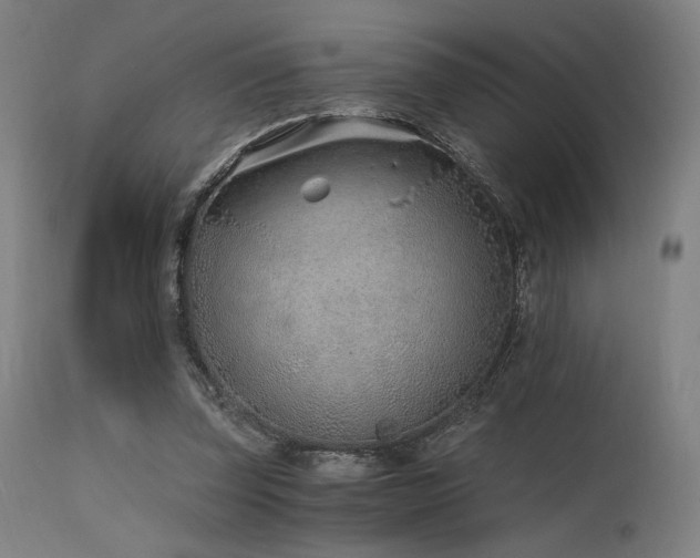 X0000115640347200911101521