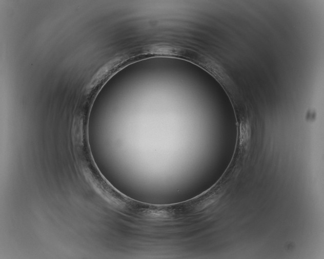 X0000115640349200911101521